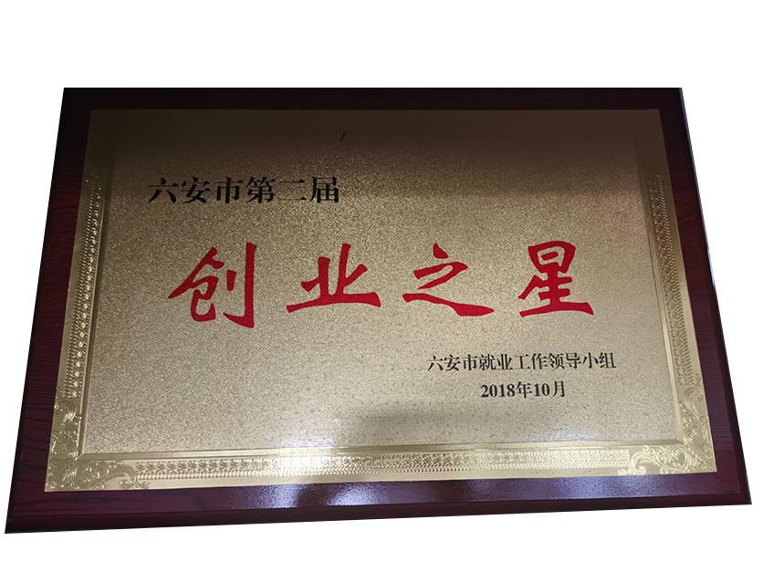 创业之星
