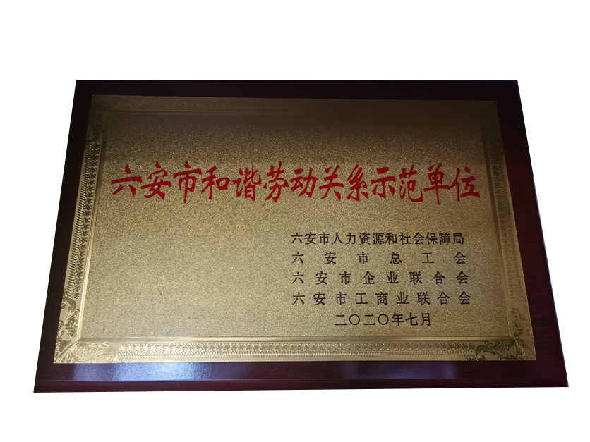 六安市和谐劳动关系示范单位