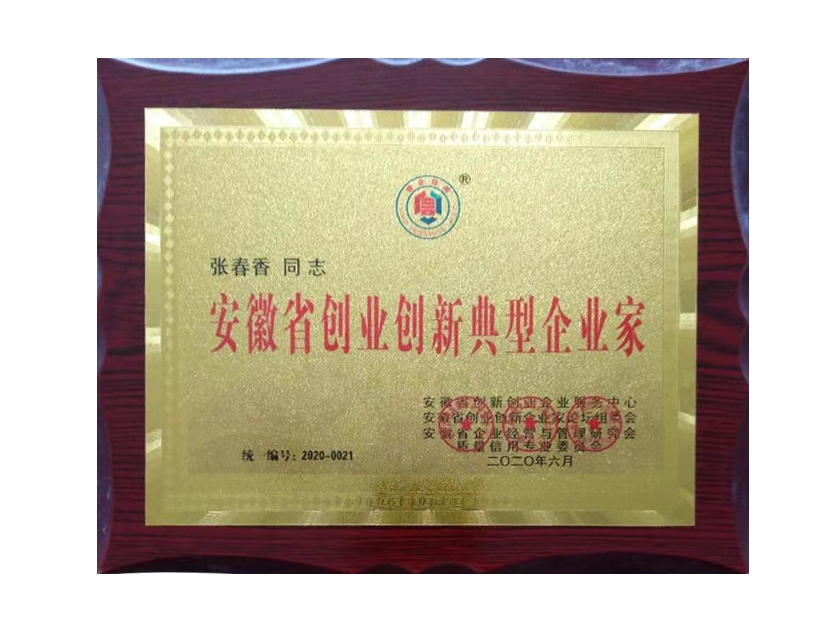 安徽省创业创新典型企业家